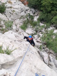 12036916_804848282945987_951251546241953332_n