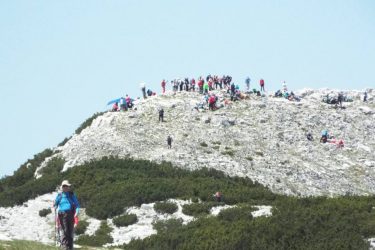 13327453_10205300086816785_8010877975784496798_n